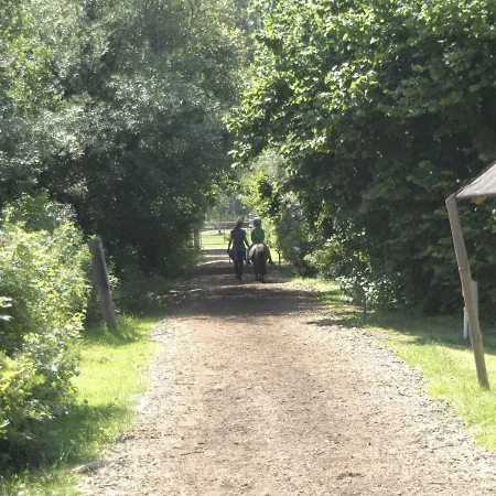 Peaceful And Homely Holiday In Ribnitz- Damgarten. Prázdninový dům *